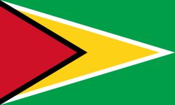 The Guyana national football team