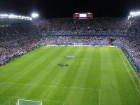 La Rosaleda