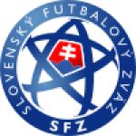 The Slovakia national football team