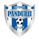 Viitorul Pandurii Targu Jiu